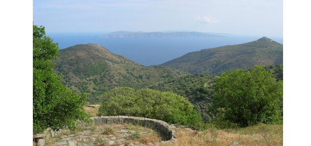 COMPLETE AND OVERALL ARCHITECTURAL CONSULTING